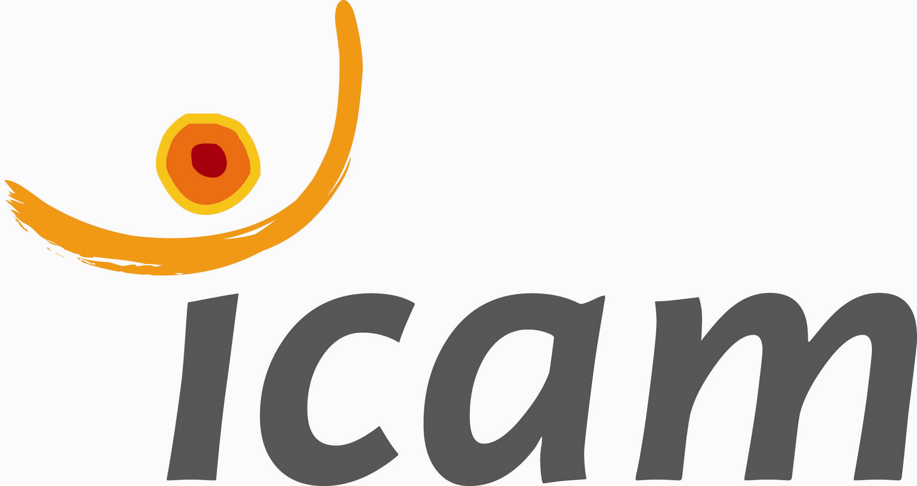 Tom Le Magicien - Icam